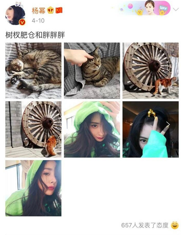 杨幂微博小号