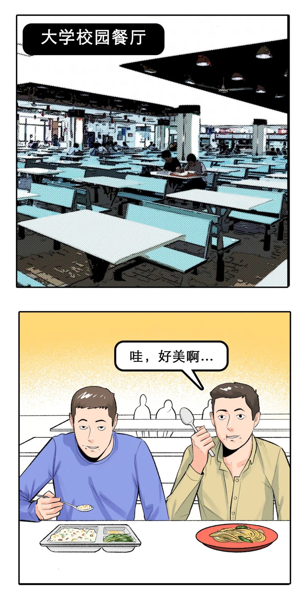 户文木