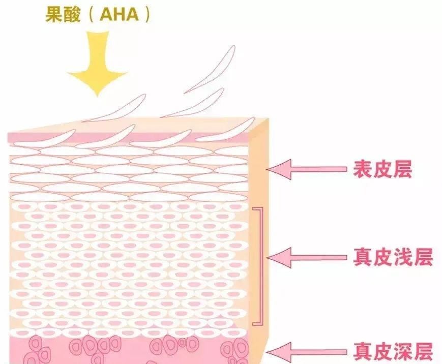 网络