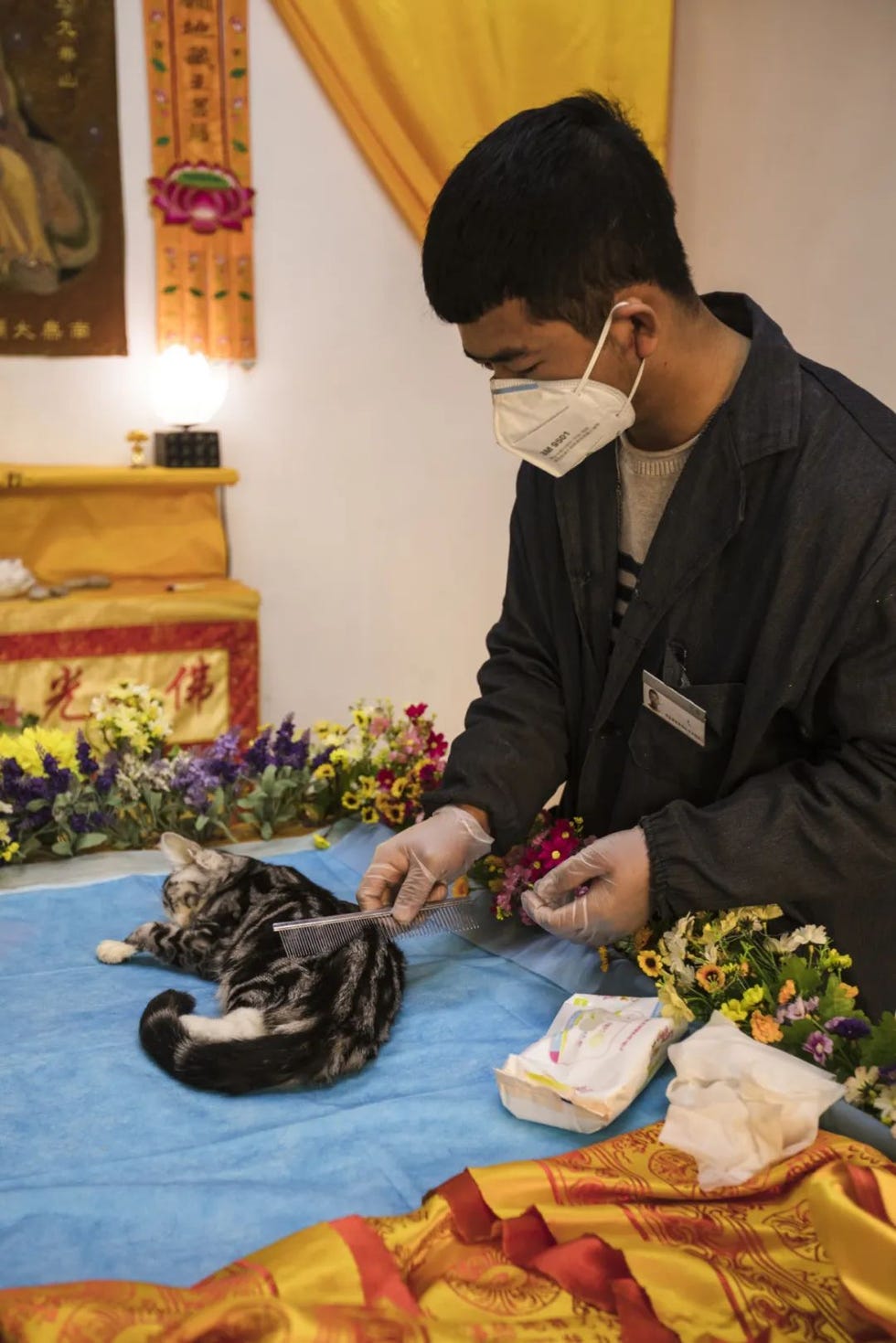 a person wearing a mask and holding a cat