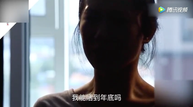 江歌