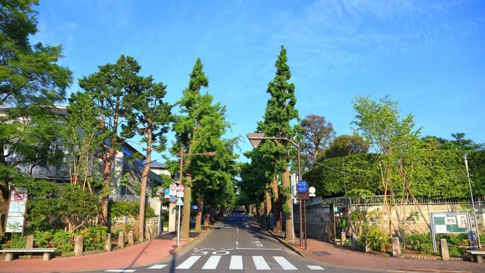 田园调布被称为日本首屈一指的高级住宅区