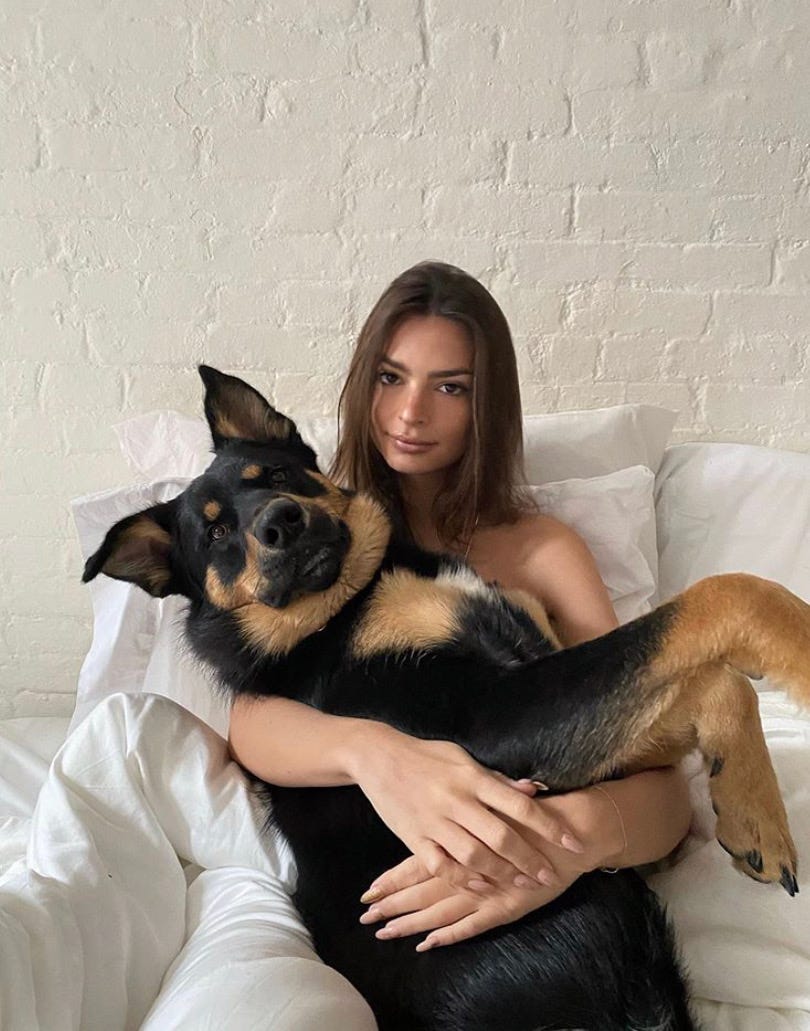 emily ratajkowski和狗狗