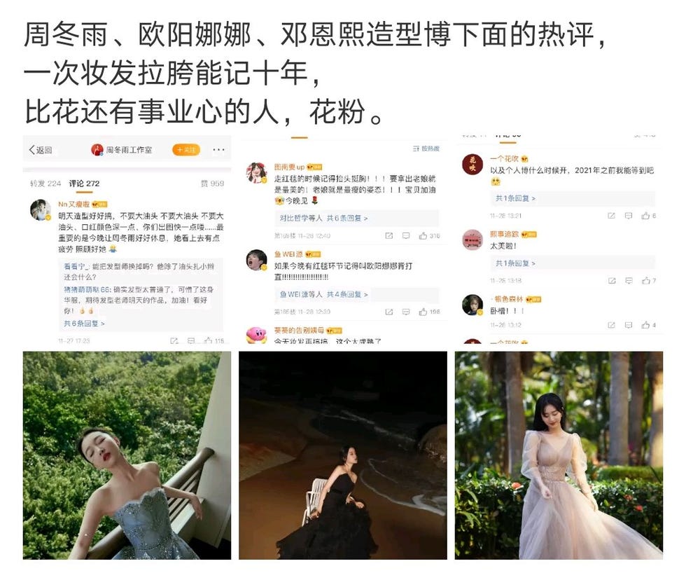 杨紫