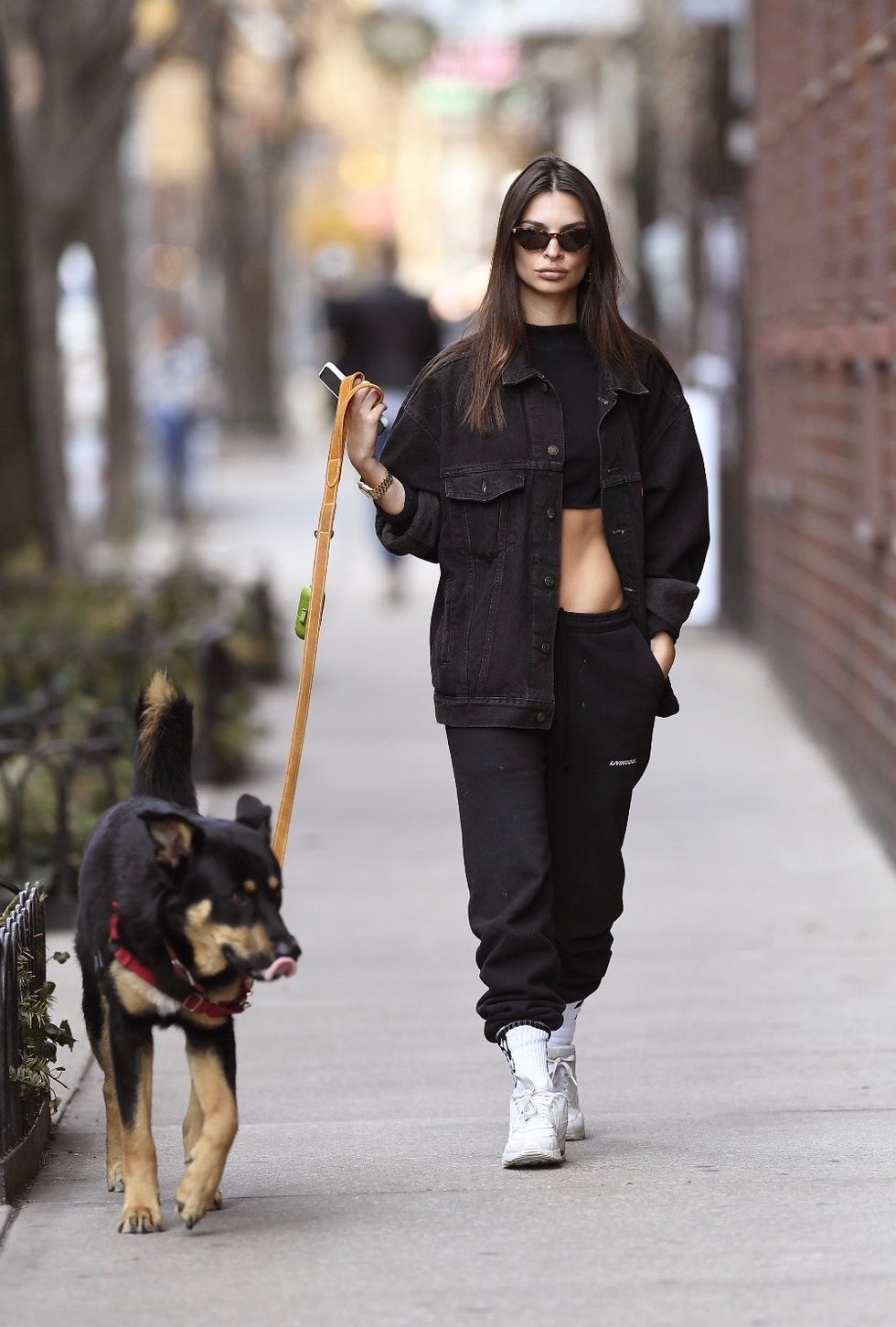 emily ratajkowski遛狗
