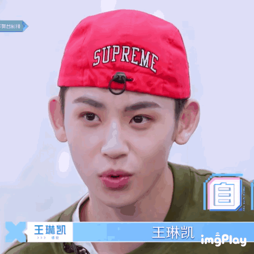 王琳凯