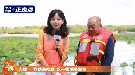 王冰冰