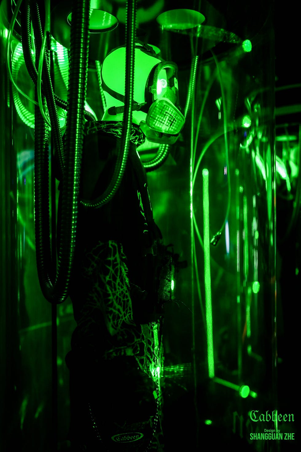 Green, Light, Technology, Organism, Visual effect lighting, Laser, Neon, 