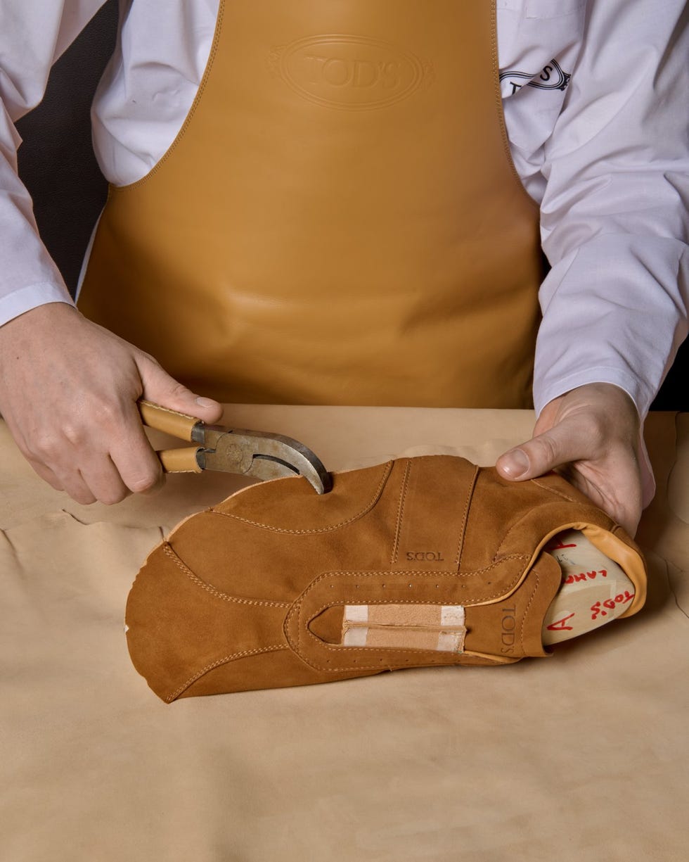 tod’s