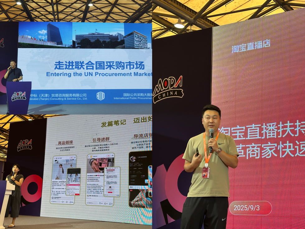 presentation on entering the un procurement market and ecommerce strategies