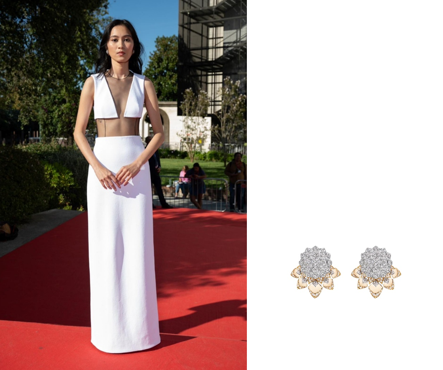 fashionable outfit worn on a red carpet