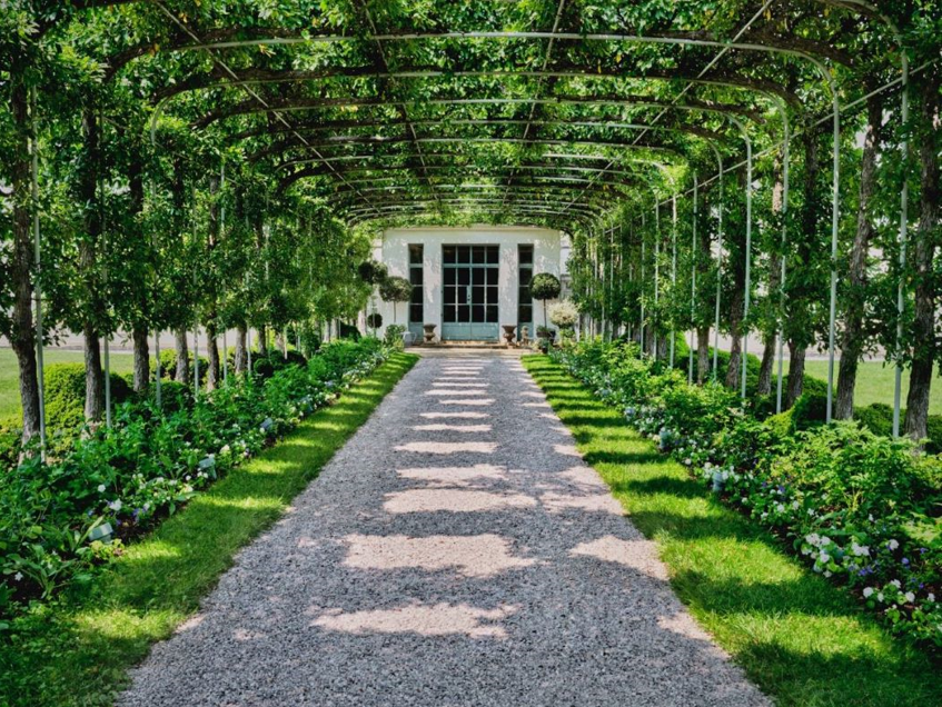 pathway bordered by greenery leading to a building