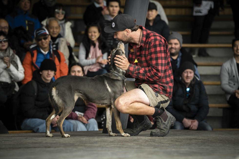 a man interacting closely with a dog at an event