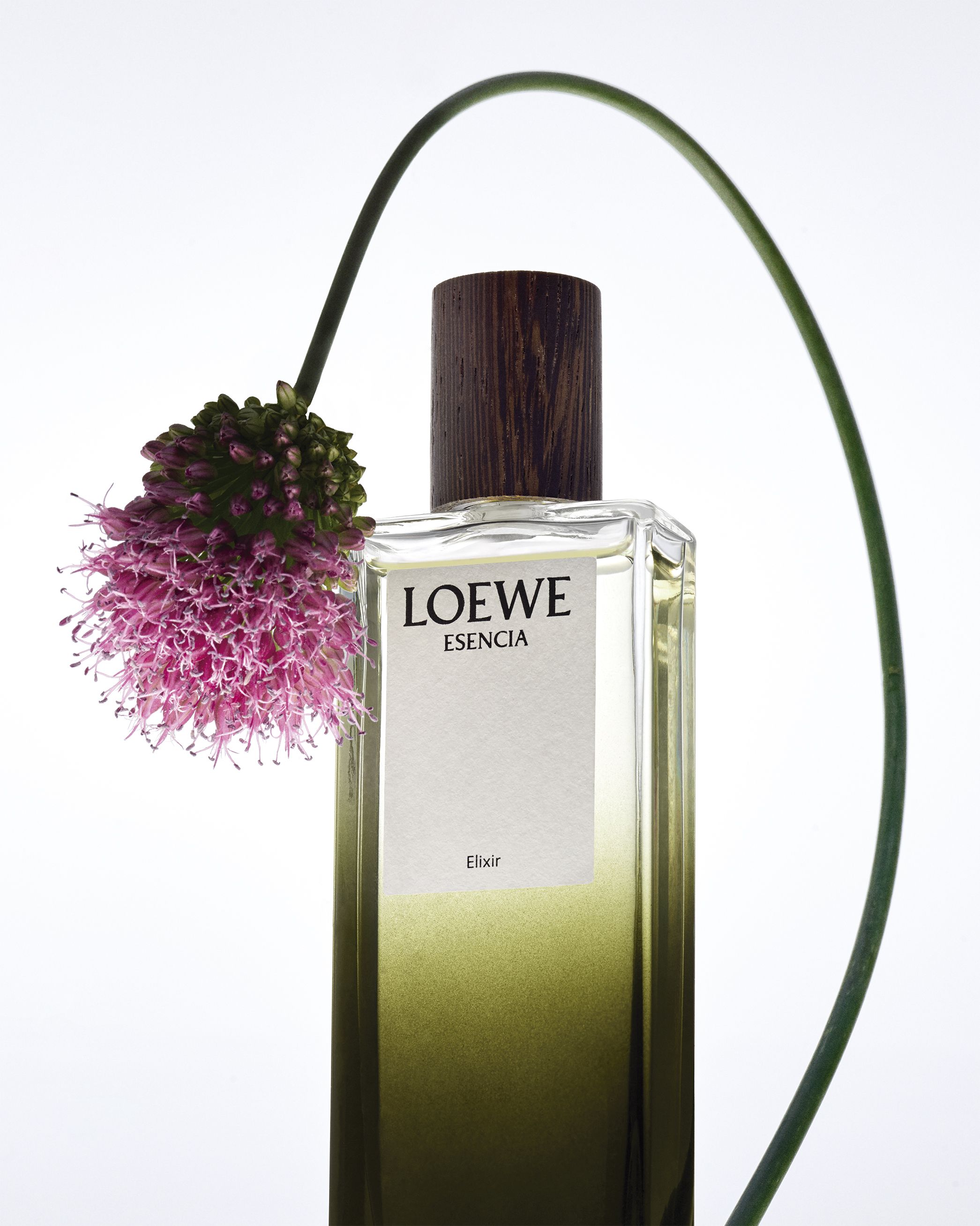 LOEWE罗意威Elixir系列重磅发布——汲取自然灵感，散发馥郁馨香的全新