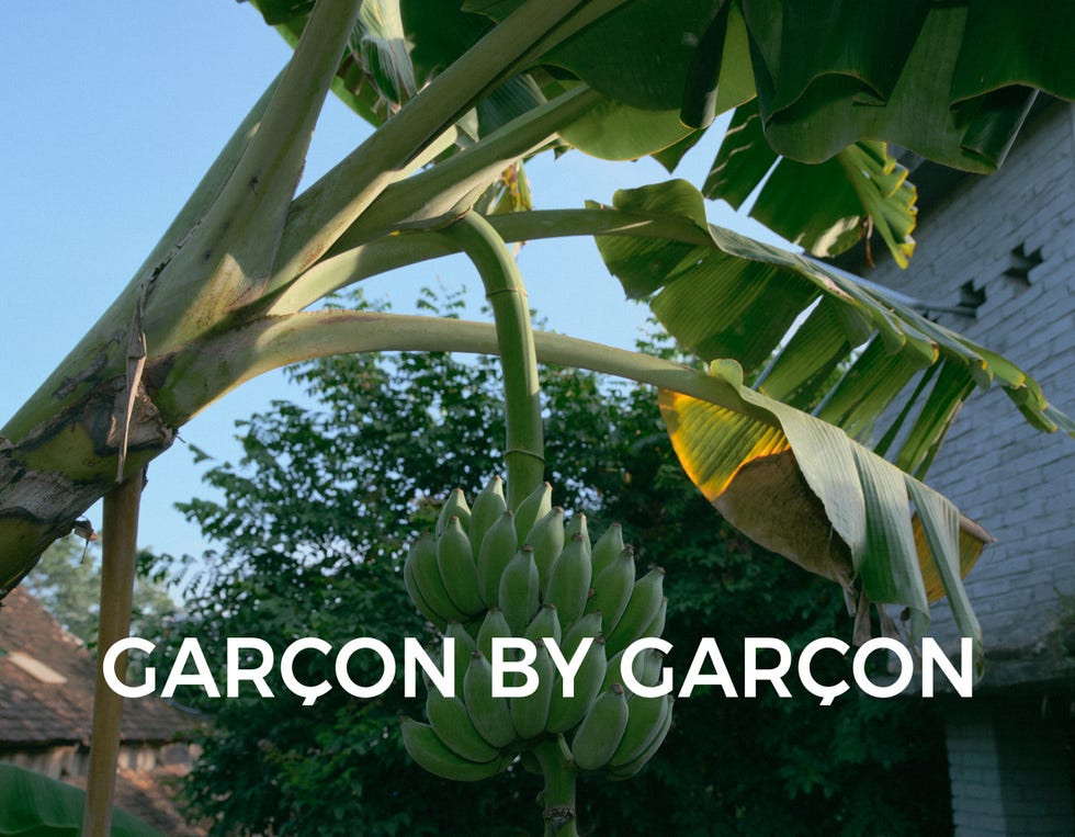 garçon by garçon