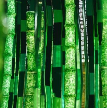 abstract representation of bamboo made with green glass elements