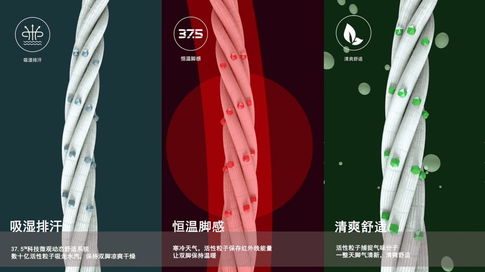 红蜻蜓