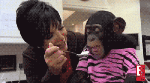 Human, Common chimpanzee, Mouth, Fun, Primate, Photography, Gesture, Photo caption, Black hair, 