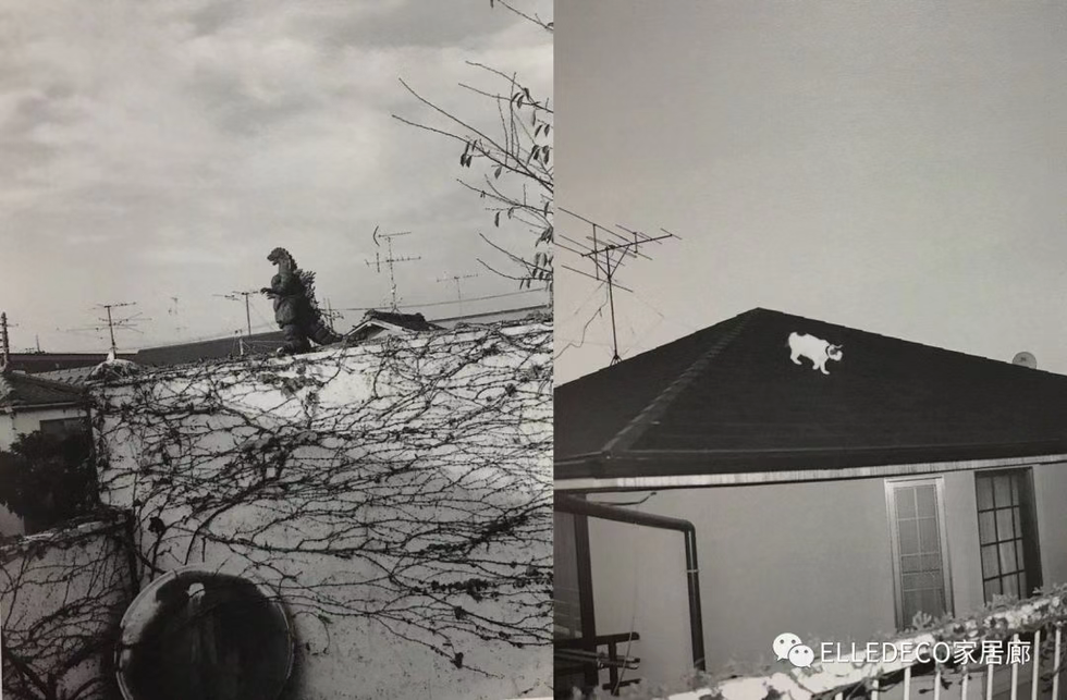 Branch, Roof, House, Monochrome photography, Monochrome, Home, Overhead power line, Wire, Electricity, Twig, 