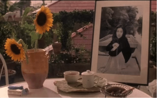 Sunflower, Still life, Flower, Still life photography, Flowerpot, sunflower, Painting, Plant, Photography, Room, 