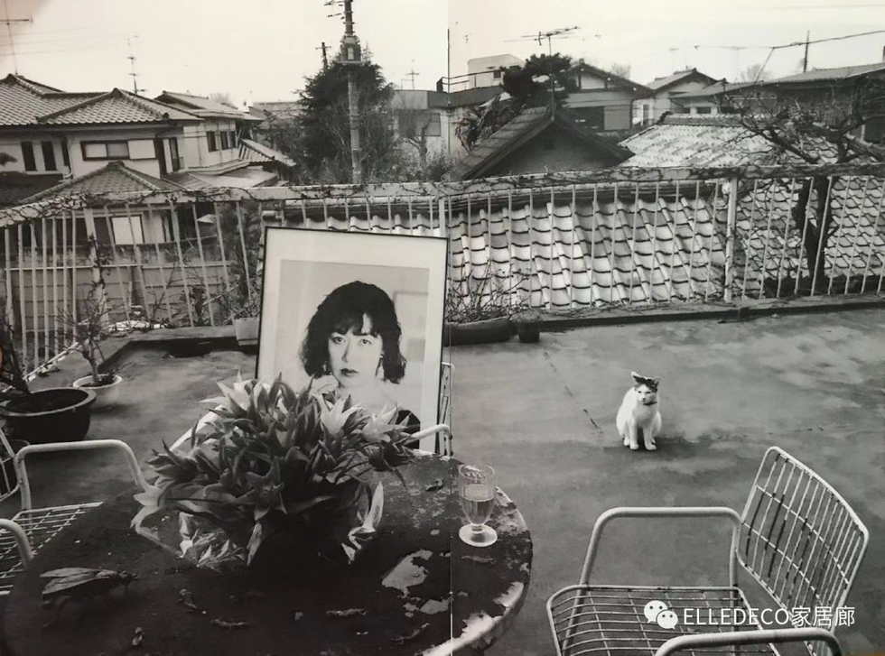 Backyard, Black-and-white, 