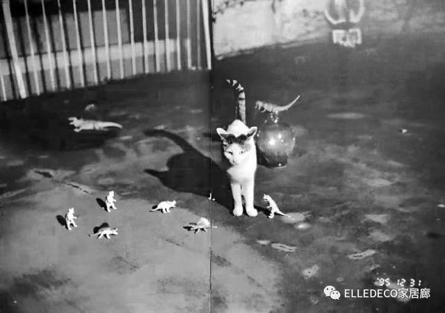 Photograph, Black-and-white, Snapshot, Monochrome photography, Monochrome, Photography, Style, 