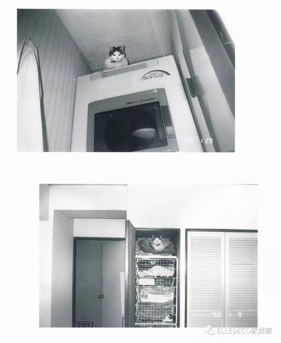 White, Property, Architecture, Room, House, Ceiling, Window, Building, Black-and-white, Interior design, 
