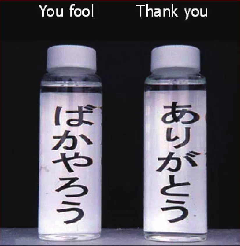 网络