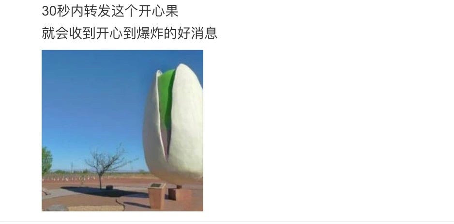 网络