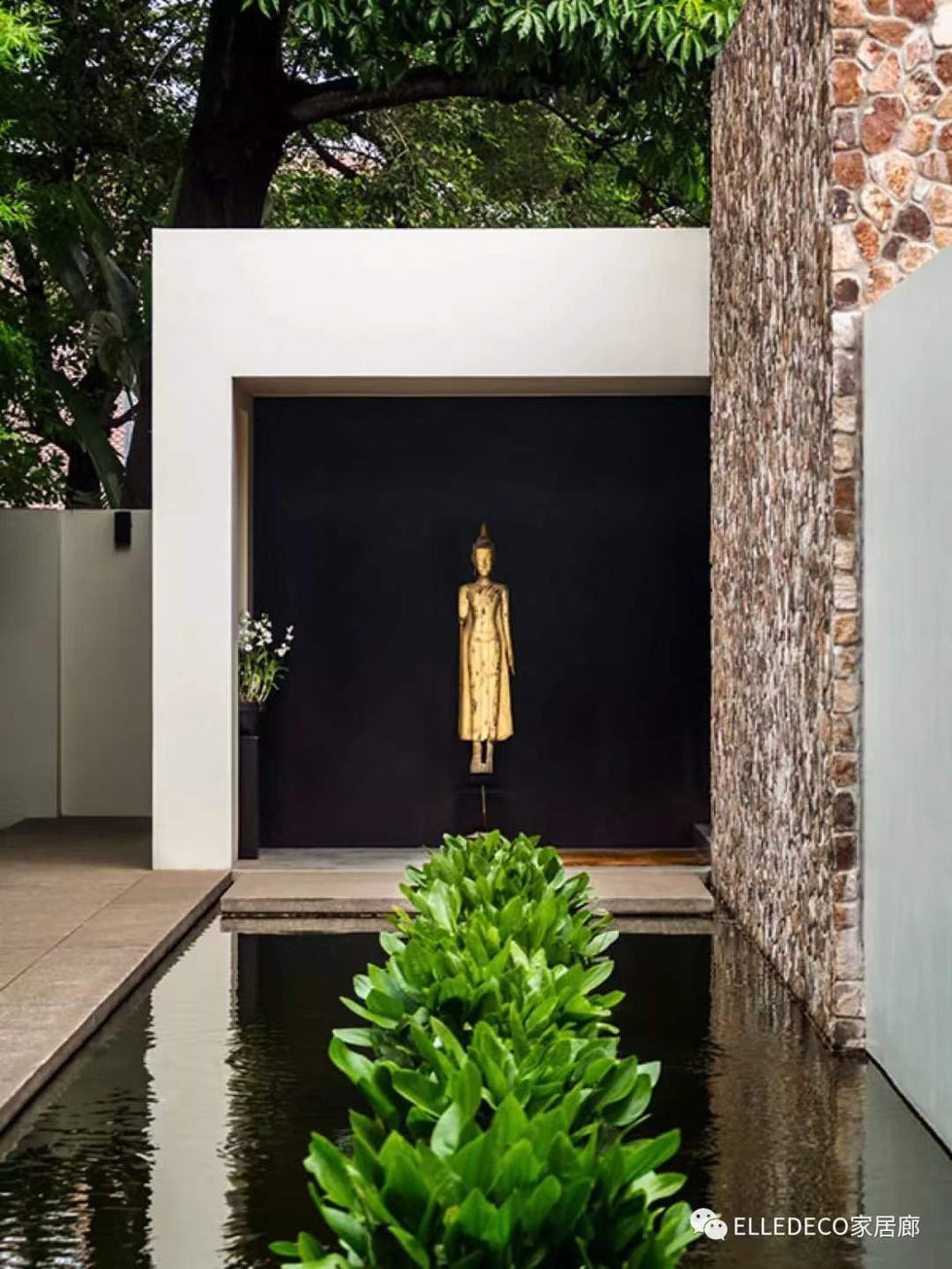 Property, House, Architecture, Interior design, Home, Room, Tree, Plant, Facade, Real estate, 