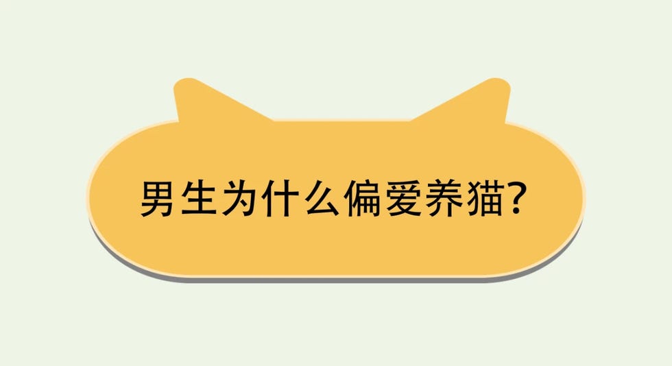 养猫