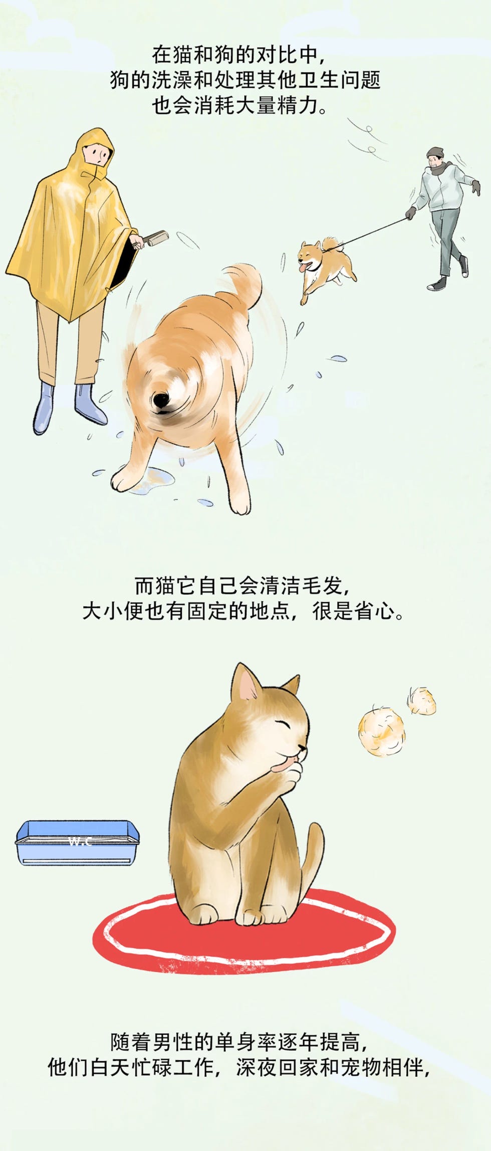 养猫