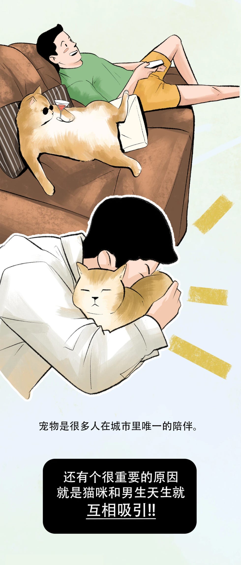 养猫