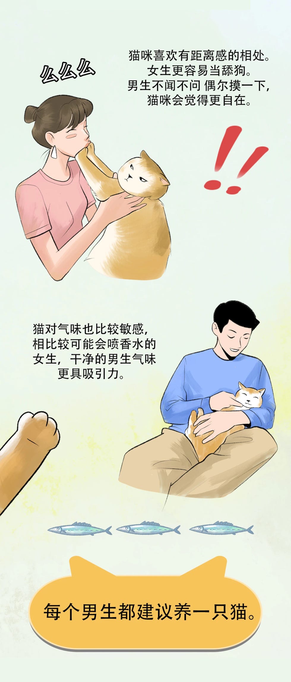 养猫