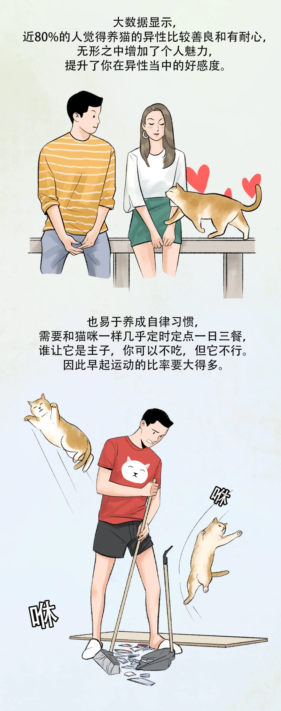 养猫