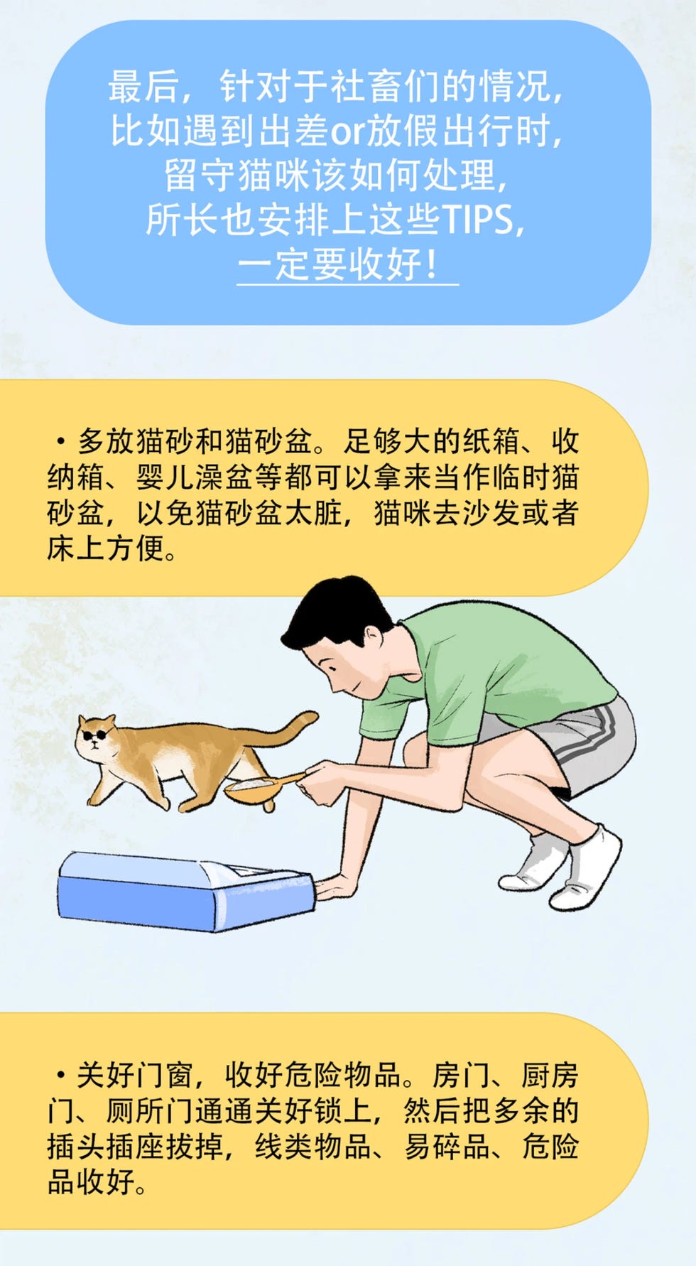 养猫