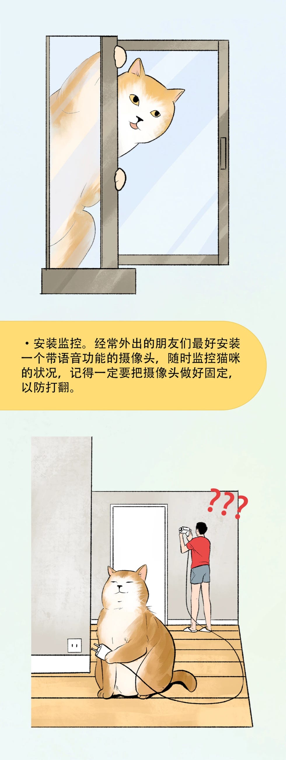 养猫