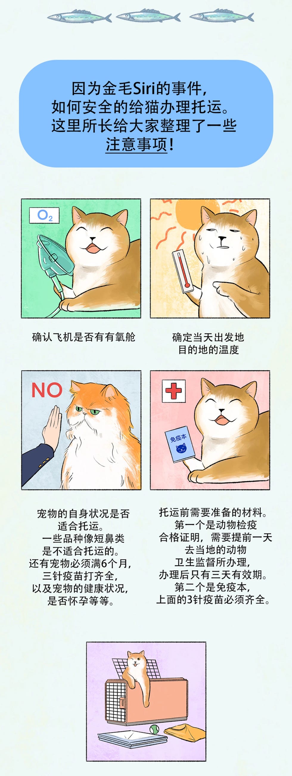 养猫