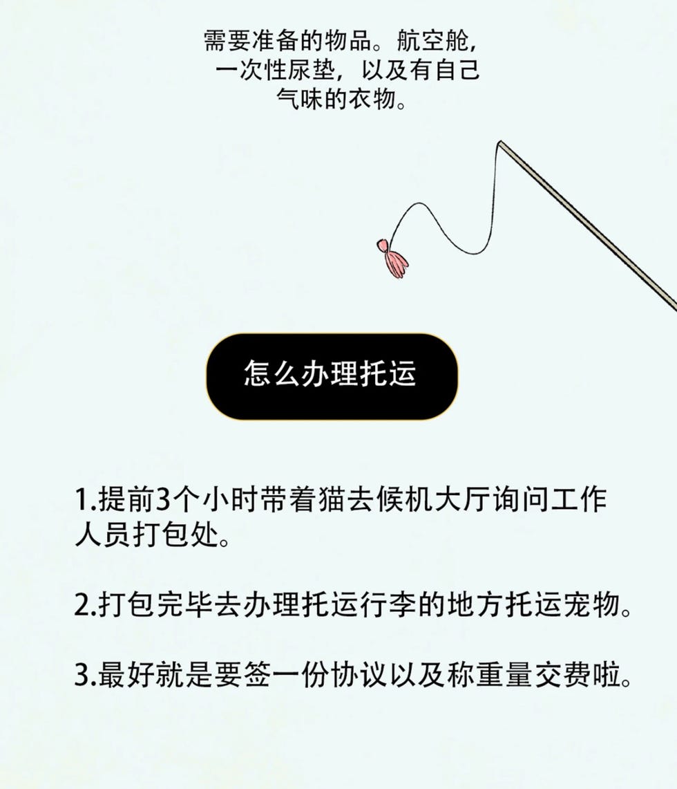 养猫