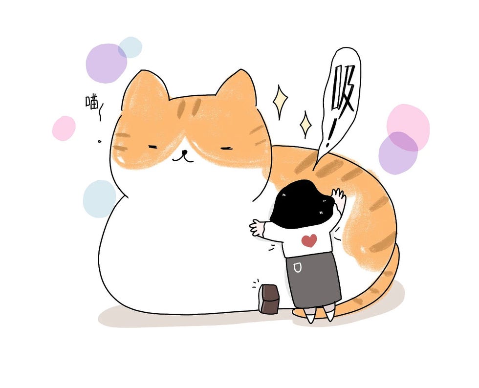 宠物