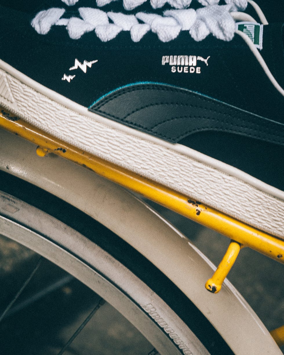puma