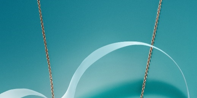 Eternal Love: Discover the Tiffany Knot Series 18K Rose Gold Diamond Necklace