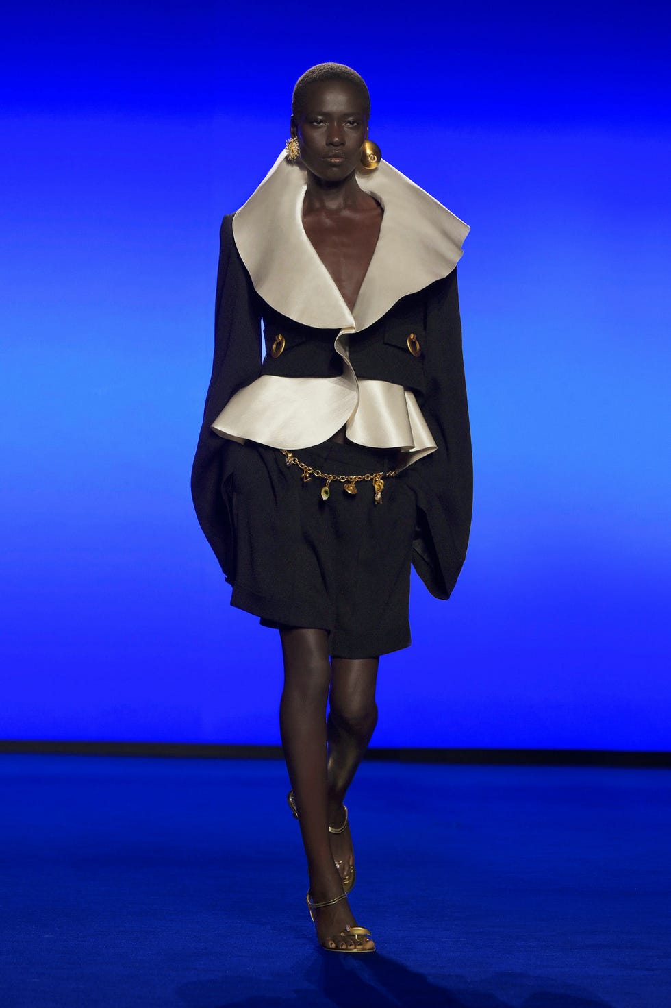 schiaparelli