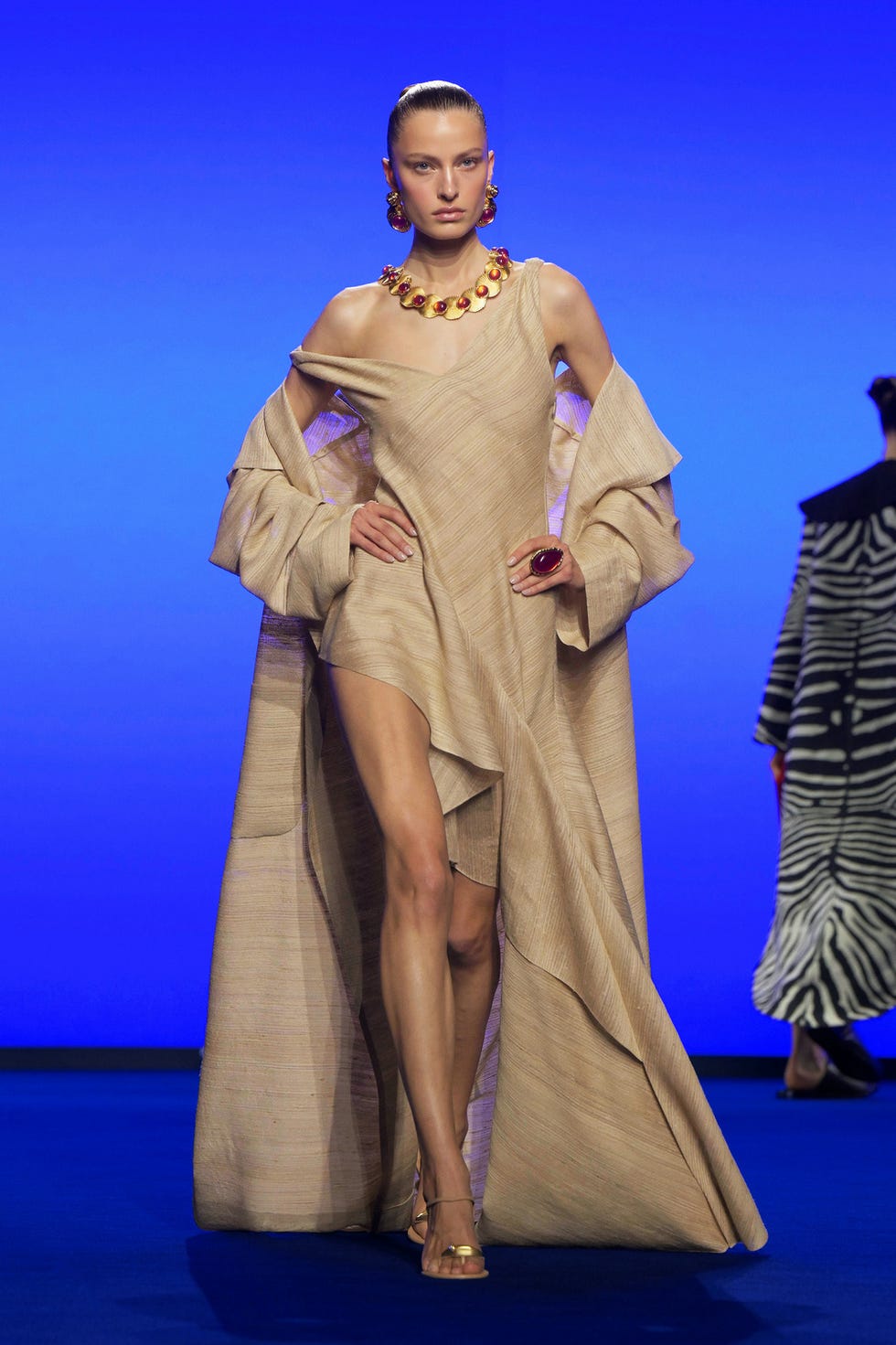 schiaparelli