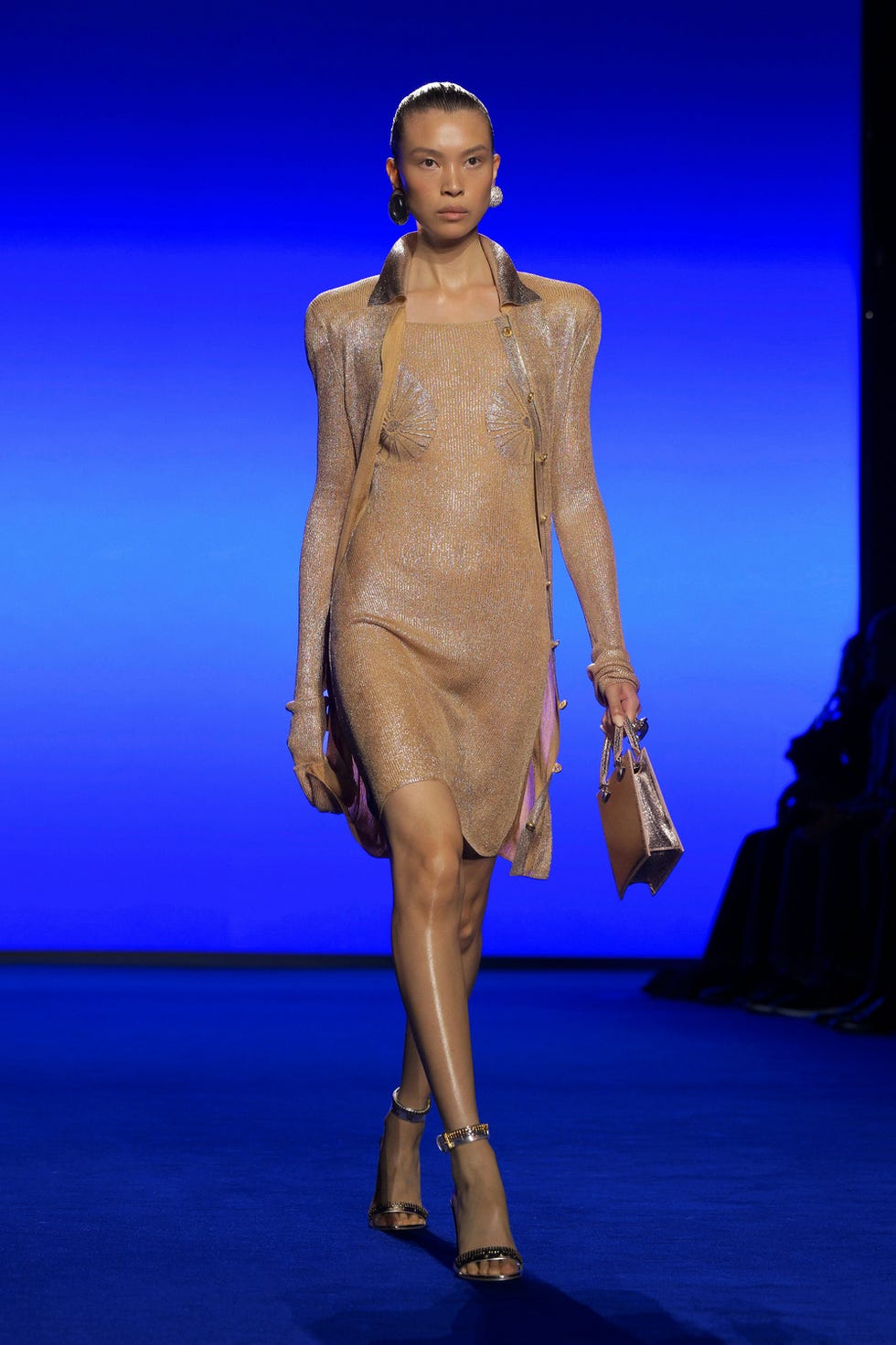 schiaparelli
