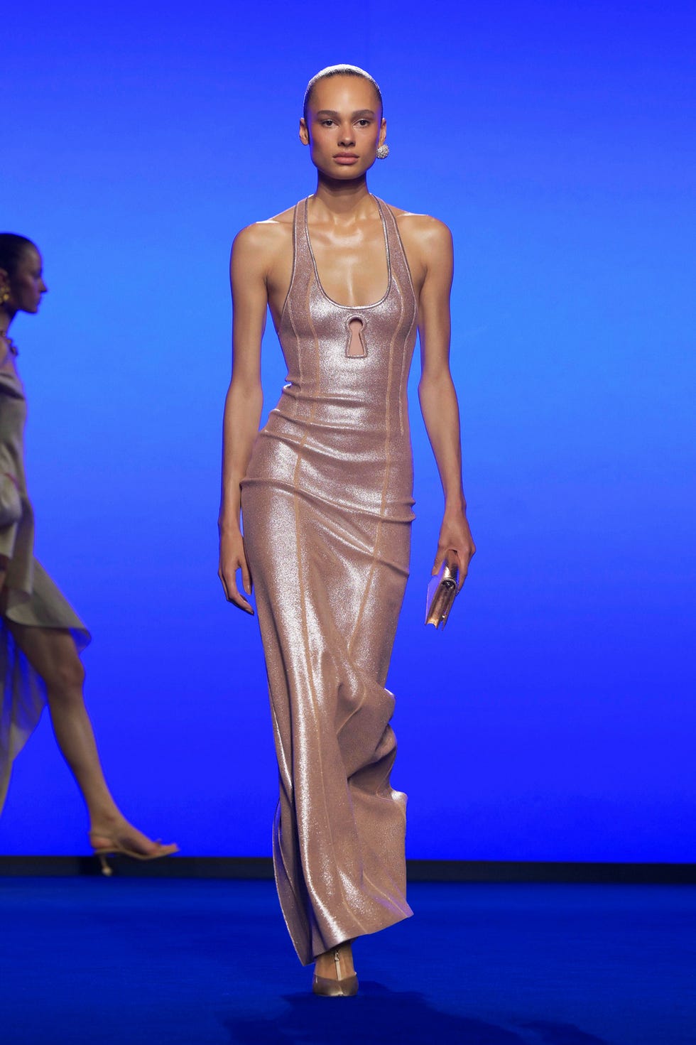 schiaparelli