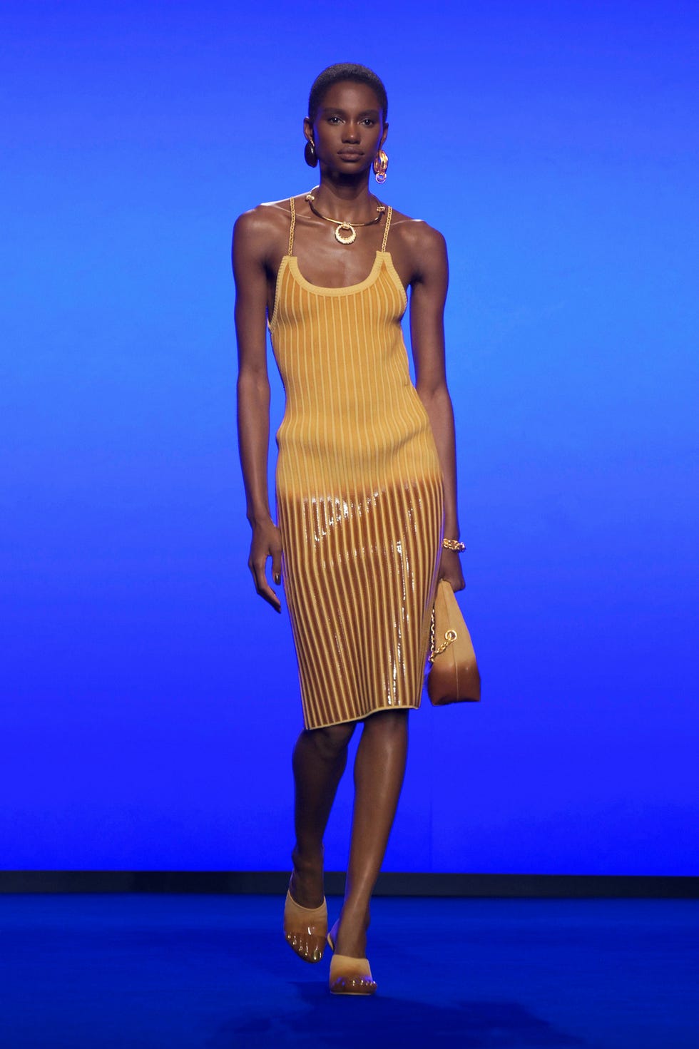 schiaparelli