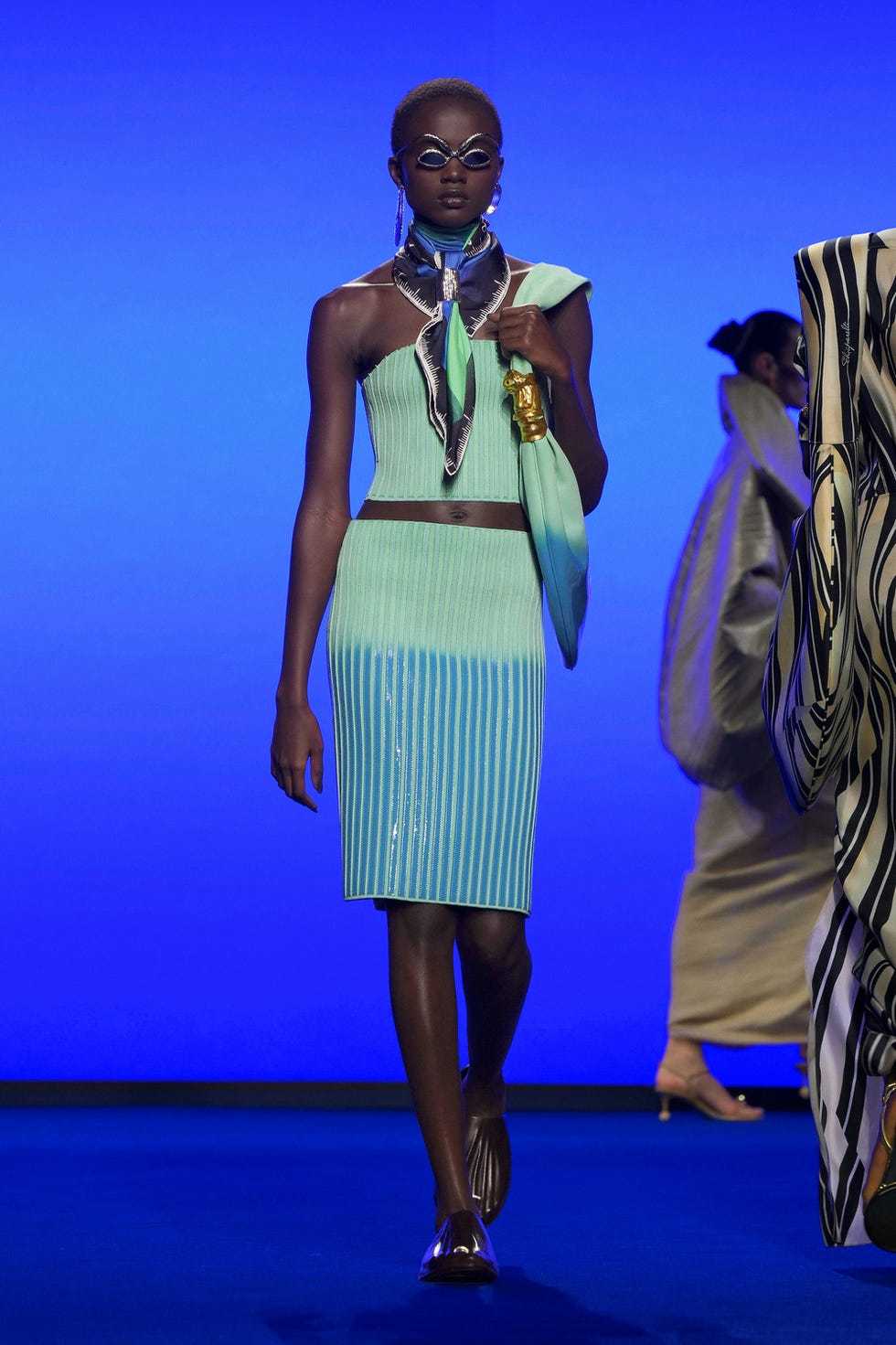 schiaparelli