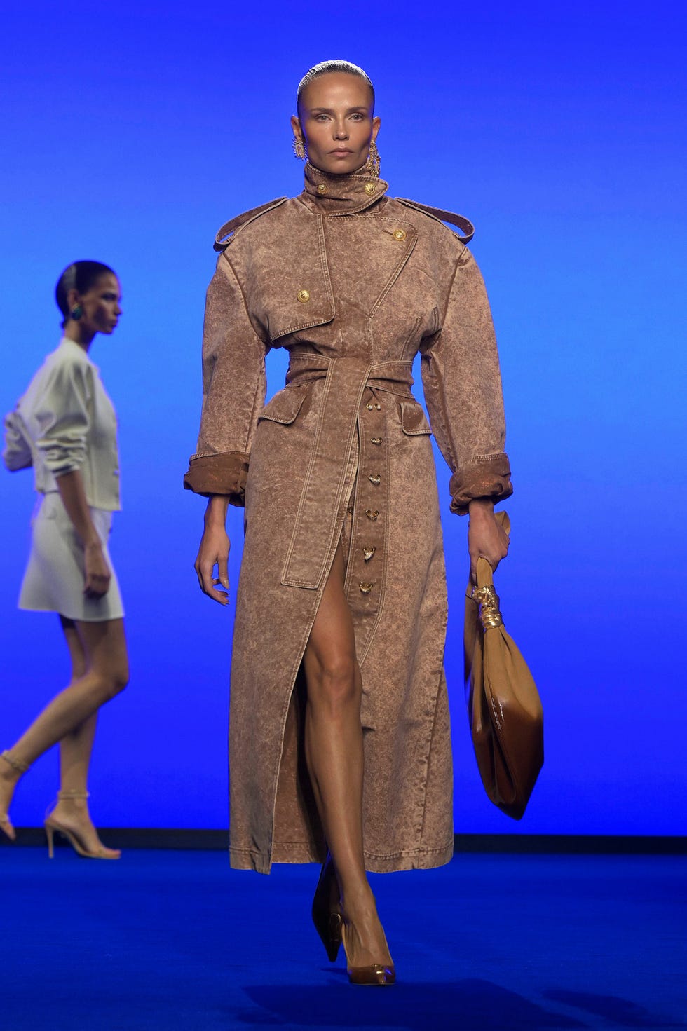 schiaparelli