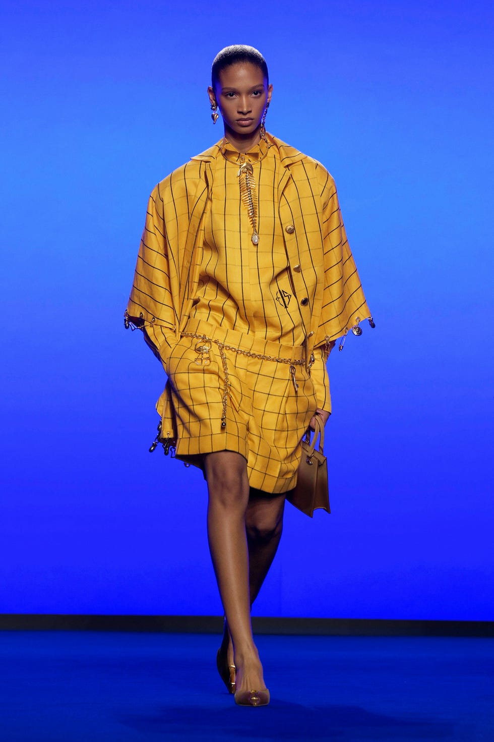 schiaparelli